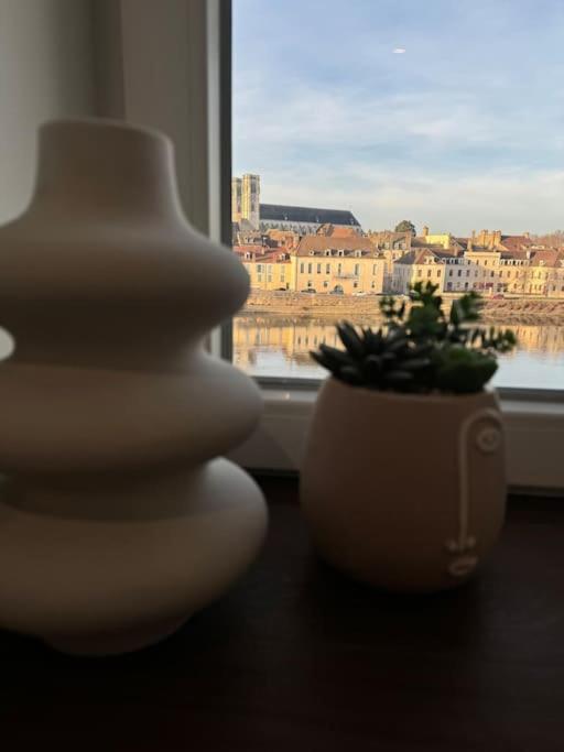 Appartement Avec Magnifique Vue Sur La Saone Et Son Balcon Шалон-сюр-Сон Екстериор снимка