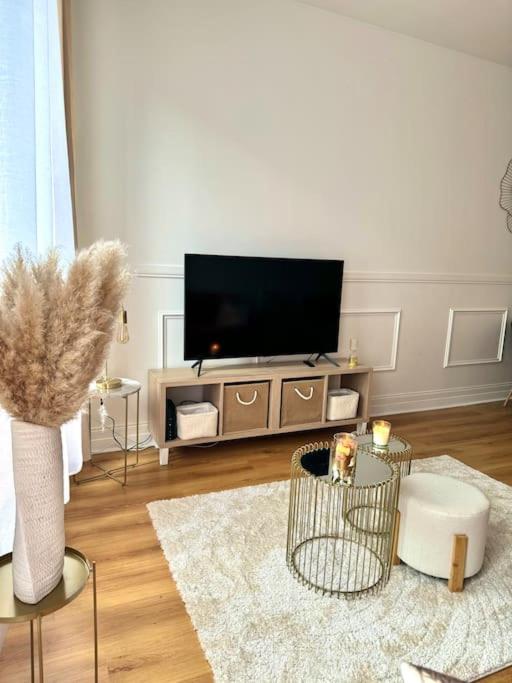 Appartement Avec Magnifique Vue Sur La Saone Et Son Balcon Шалон-сюр-Сон Екстериор снимка